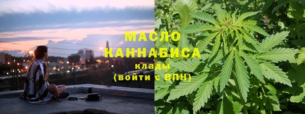 дмт Алексин