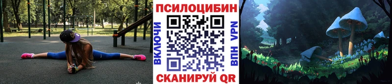 цены   Новоузенск  ссылка на мегу как зайти  Псилоцибиновые грибы прущие грибы 